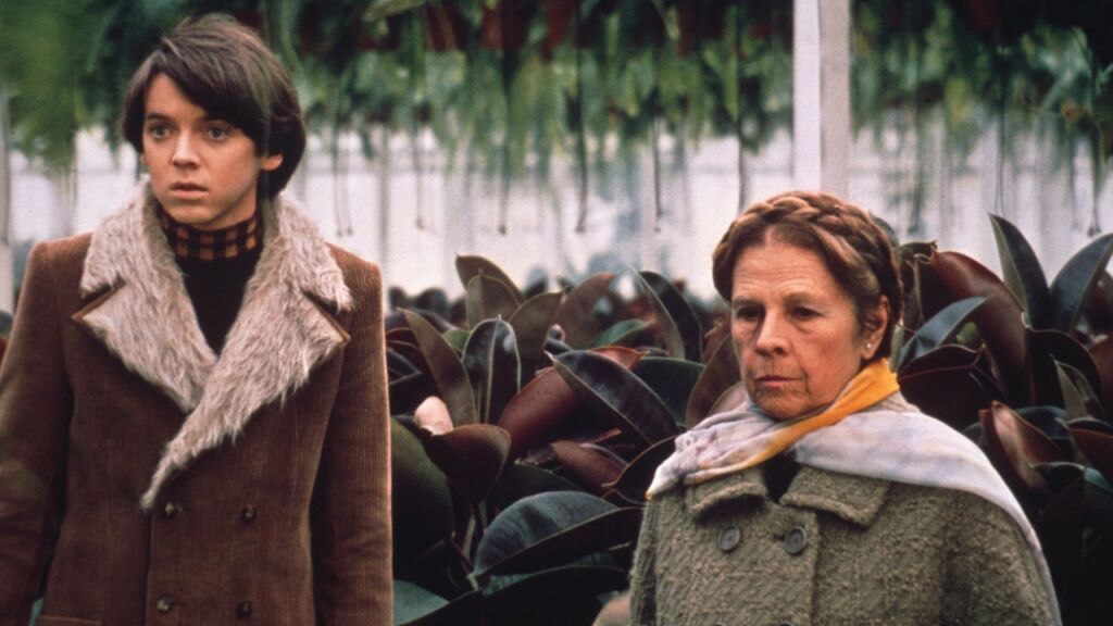 Harold e Maude